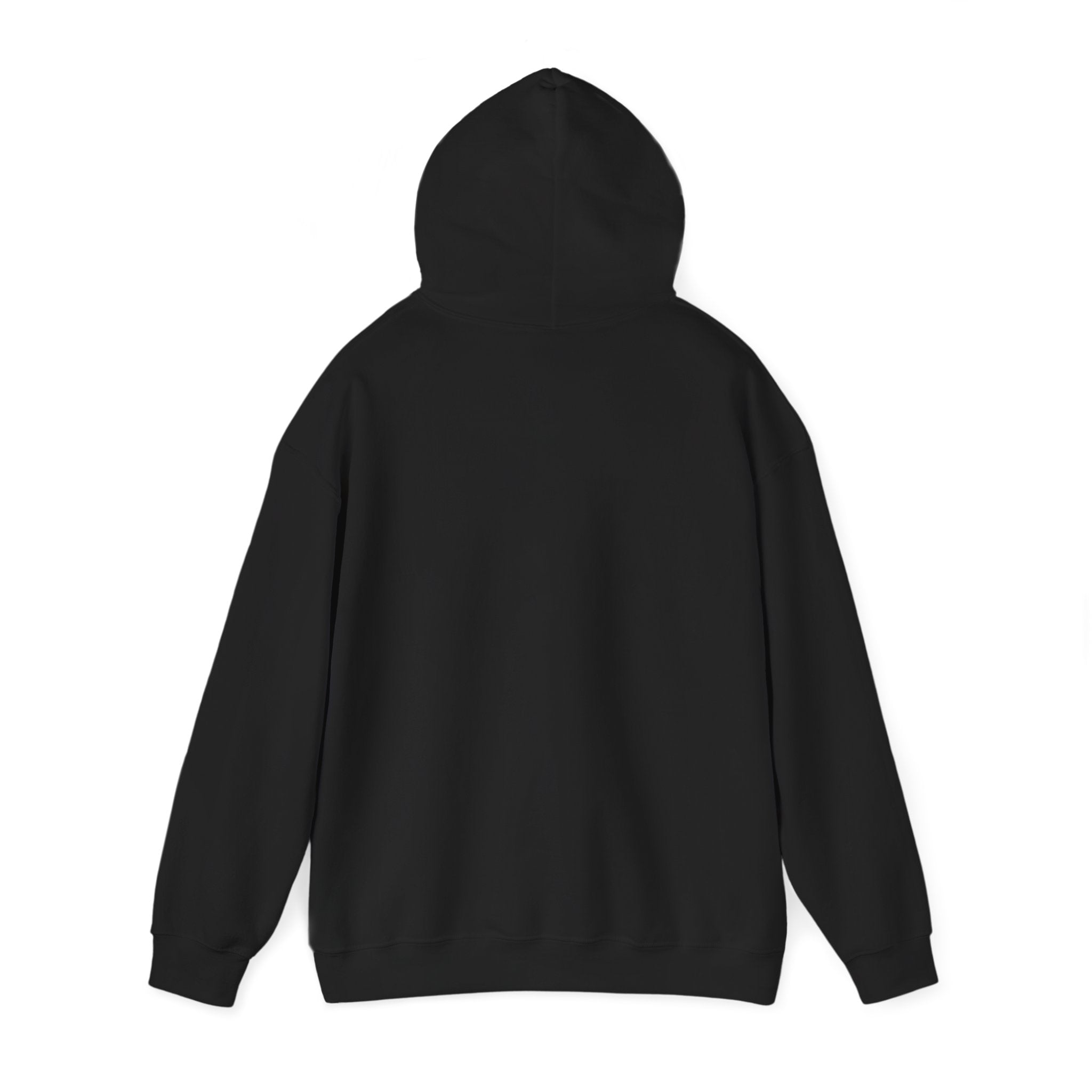 Working Online Means No School Hoodie — Funny Remote Work Student Sweatshirt