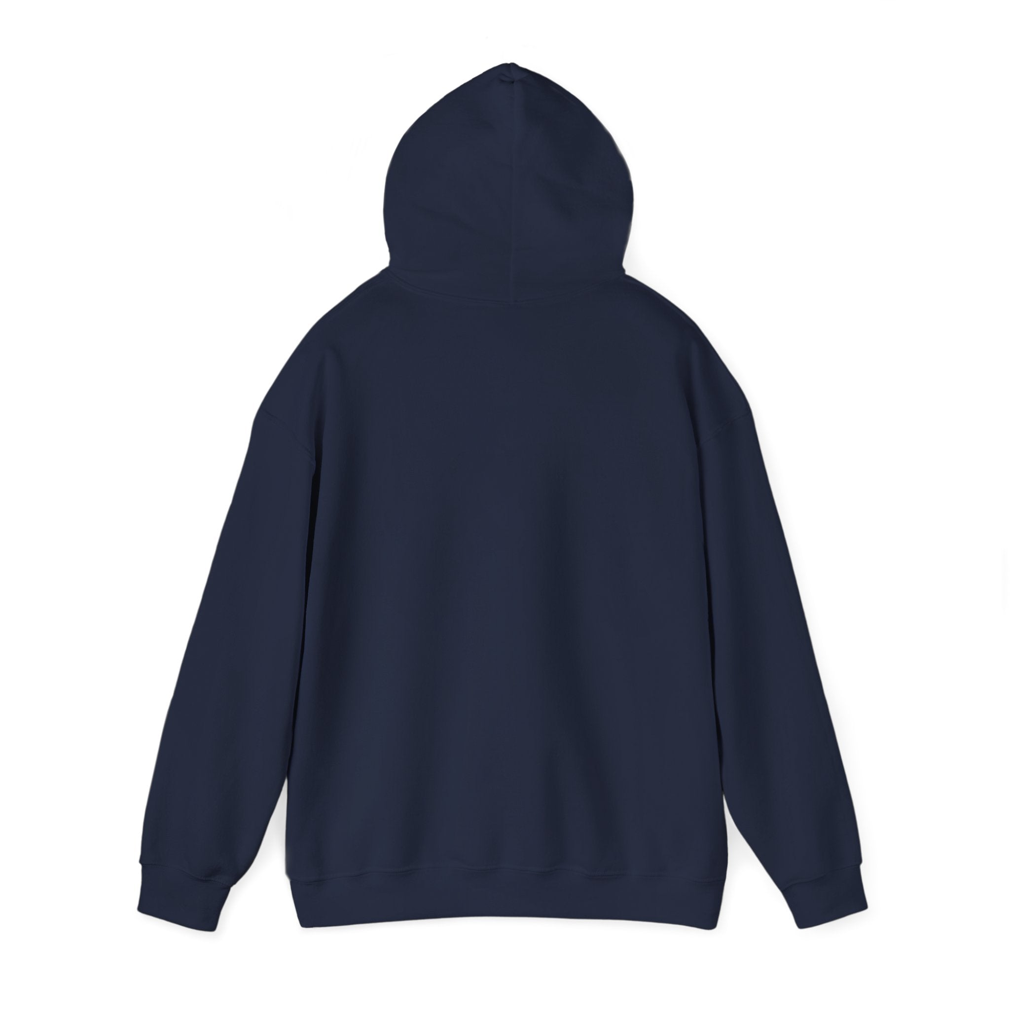 Working Online Means No School Hoodie — Funny Remote Work Student Sweatshirt