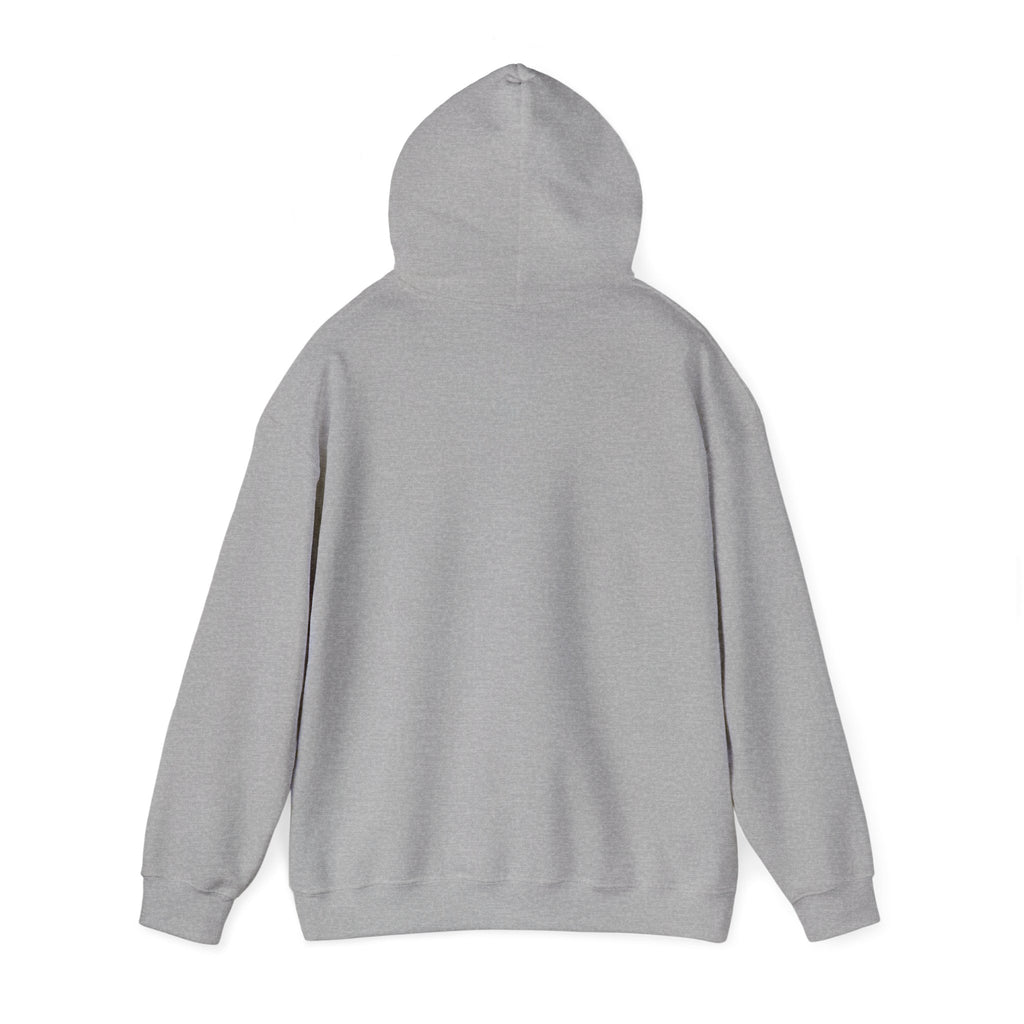 Working Online Means No School Hoodie — Funny Remote Work Student Sweatshirt