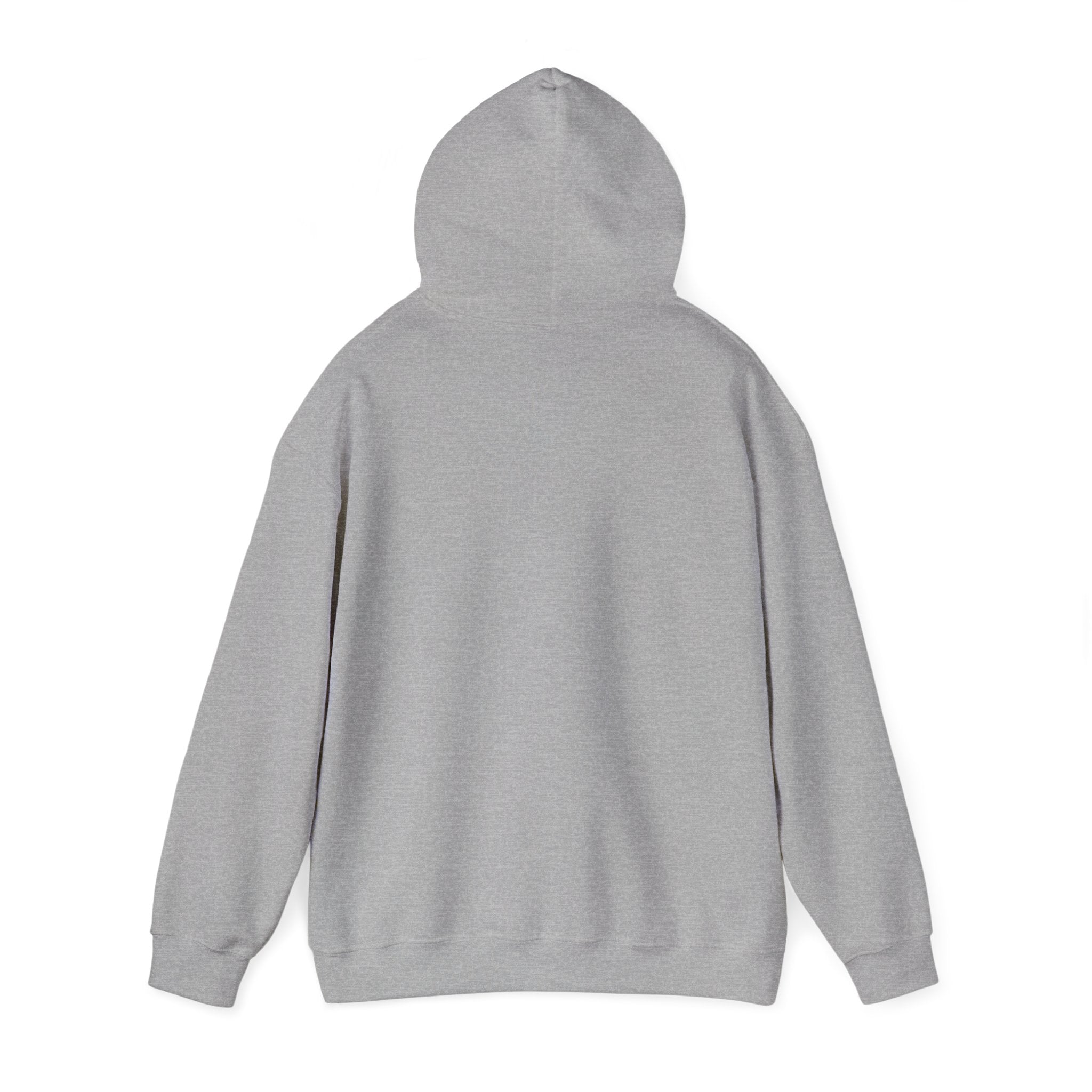 Working Online Means No School Hoodie — Funny Remote Work Student Sweatshirt